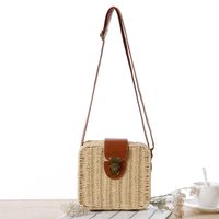 Women's Small Spring&summer Paper String Vintage Style Straw Bag sku image 4