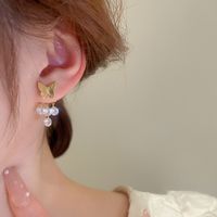Wholesale Jewelry Elegant Sweet Butterfly Alloy Drop Earrings main image 4