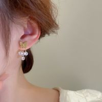 Wholesale Jewelry Elegant Sweet Butterfly Alloy Drop Earrings main image 7