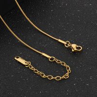 Titanium Steel 18K Gold Plated Modern Style Plating Oval Pendant Necklace main image 3