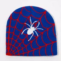 Unisex Hip-hop Vintage Style Spider Spider Web Eaveless Wool Cap sku image 5