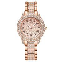 Décontractée Couleur Unie Boucle Quartz Femmes De Montres sku image 1