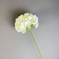 Pastoral Flower Raw Silk Holiday Daily sku image 7