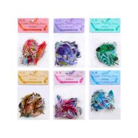 1 Piece Feather Learning Pet Princess Stickers main image 2