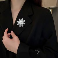 Baroque Style Sweet Snowflake Copper Inlay Zircon Women's Brooches main image 5