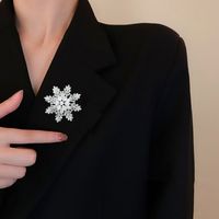 Baroque Style Sweet Snowflake Copper Inlay Zircon Women's Brooches main image 4