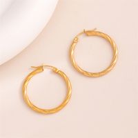 1 Pair Retro Simple Style C Shape Round Plating Stainless Steel 18K Gold Plated Hoop Earrings main image 10
