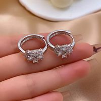 1 Pair Ig Style Lady Simple Style Round Water Droplets Flower Plating Inlay Copper Zircon Rose Gold Plated White Gold Plated Gold Plated Earrings main image 5