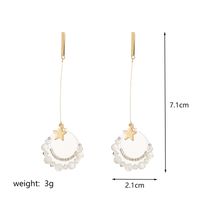 1 Pair Retro Flower Plating Inlay Copper Zircon 18k Gold Plated Drop Earrings sku image 2