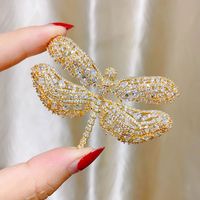 Glam Dragonfly Copper Inlay Zircon Women's Brooches main image 4