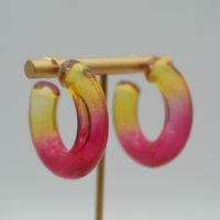 1 Pair Elegant Sweet Solid Color Stoving Varnish Arylic Hoop Earrings sku image 9