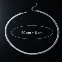 Retro Punk Simple Style Solid Color Titanium Steel Plating Silver Plated Men's Necklace main image 5