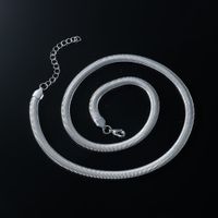 Retro Punk Simple Style Solid Color Titanium Steel Plating Silver Plated Men's Necklace main image 3