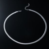 Retro Punk Simple Style Solid Color Titanium Steel Plating Silver Plated Men's Necklace main image 2