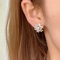 1 Pair IG Style Elegant Simple Style Snowflake Plating Inlay 304 Stainless Steel Copper Zircon K Gold Plated Ear Studs main image 2