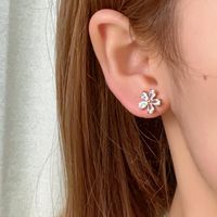 1 Pair Simple Style Shiny Flower Plating Inlay Copper Zircon Gold Plated Ear Studs main image 1