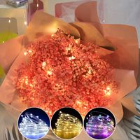 Christmas Casual Cute Solid Color Pc Indoor Party Festival String Lights main image 2