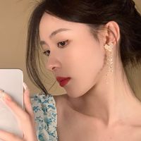 1 Pair Simple Style Heart Shape Inlay Alloy Zircon Drop Earrings main image 4