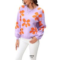 Women's Sweater Long Sleeve Sweaters & Cardigans Flowers Streetwear Color Block main image 5
