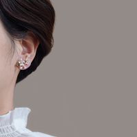 1 Pair Elegant Streetwear Flower Alloy Drop Earrings main image 4