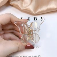 Retro Butterfly Arylic Stoving Varnish Hair Claws sku image 1