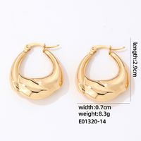 1 Pair IG Style Simple Style Geometric Plating 304 Stainless Steel Gold Plated Silver Plated Earrings sku image 16