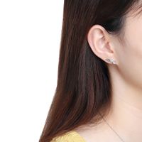 1 Pair Simple Style Classic Style Wings Plating Inlay Sterling Silver Zircon White Gold Plated Rhodium Plated Silver Plated Ear Studs main image 2