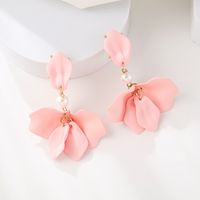1 Pair Simple Style Leaf Stoving Varnish Arylic Drop Earrings main image 2