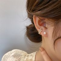 1 Pair Pastoral Simple Style Flower Inlay Copper Zircon Ear Studs main image 2