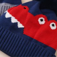 Boy's Cartoon Style Cartoon Jacquard Wool Cap main image 2