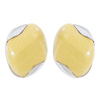Wholesale Jewelry Modern Style Sweet Simple Style Geometric Alloy Resin Ear Studs sku image 6