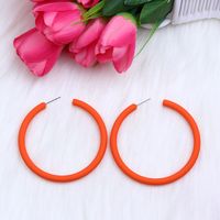 1 Pair Simple Style Solid Color Spray Paint Arylic Earrings sku image 4