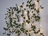 Christmas Simple Style Plant Plastic Party Lightings main image 6