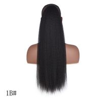Women's Casual Holiday Party High Temperature Wire Ponytail Wigs sku image 1