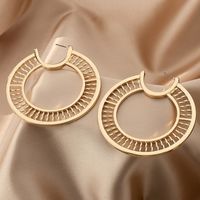 1 Pair Simple Style Round Zinc Alloy Earrings main image 5