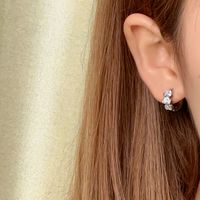 1 Pair Vintage Style Simple Style Heart Shape Plating Inlay Copper Zircon Earrings main image 9