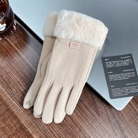 Women's Simple Style Solid Color Velvet Polyester Gloves 1 Pair sku image 4