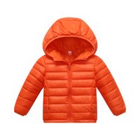 Simple Style Solid Color Boys Outerwear sku image 1