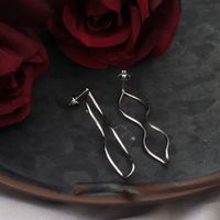 1 Piece Casual Modern Style Classic Style Solid Color Stainless Steel Drop Earrings main image 2
