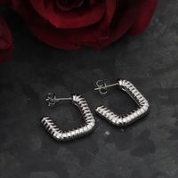 1 Pair Casual Modern Style Classic Style Square Plating Stainless Steel Silver Plated Earrings main image 4