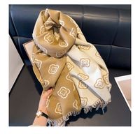 Women's Simple Style Printing Imitation Cashmere Scarf main image 5