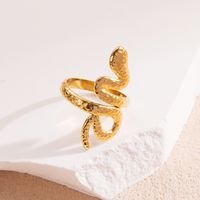 Wholesale Elegant Streetwear Leaves Heart Shape Snake Stainless Steel Titanium Steel Plating 18k Gold Plated Open Rings sku image 15