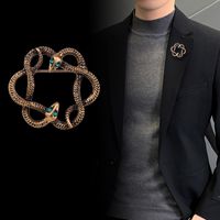Business Classic Style Snake Zinc Stoving Varnish Men's Brooches main image 1