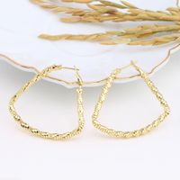 1 Piece Basic Modern Style Geometric Plating Sterling Silver Earrings main image 4