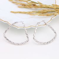 1 Piece Basic Modern Style Geometric Plating Sterling Silver Earrings main image 1