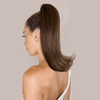 Women's Simple Style Street High Temperature Wire Ponytail Wigs sku image 3