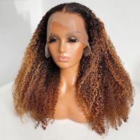 Women's Elegant Casual Street High Temperature Wire Centre Parting Long Curly Hair Wigs main image 1