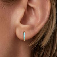1 Pair Simple Style Round Color Block Inlay Sterling Silver Zircon Hoop Earrings main image 5