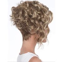 Women's Casual Elegant Holiday Weekend High Temperature Wire Long Bangs Short Curly Hair Wigs main image 5