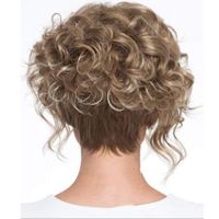 Women's Casual Elegant Holiday Weekend High Temperature Wire Long Bangs Short Curly Hair Wigs main image 3